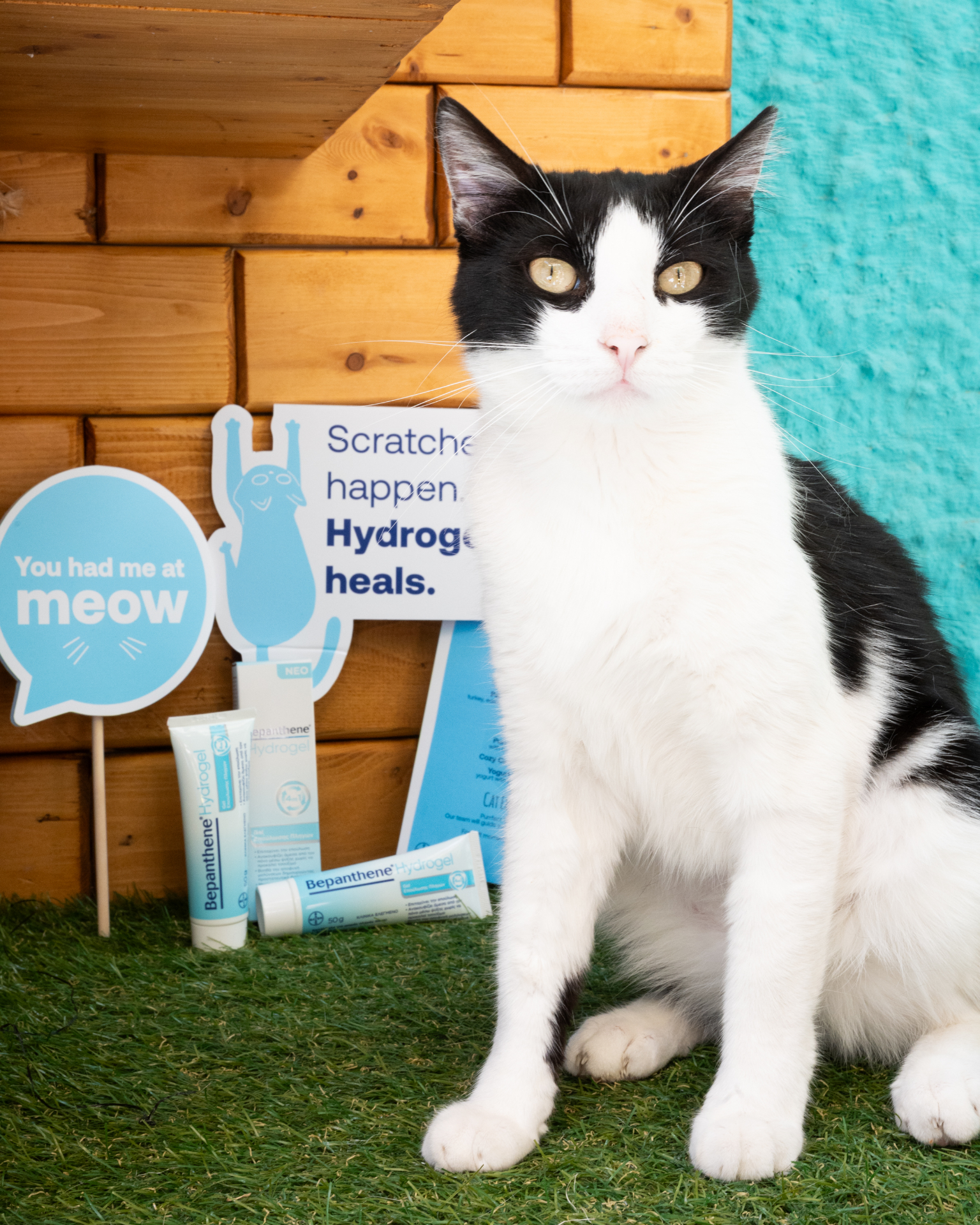 Event στο Cat Café 8